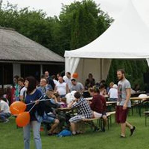 IV. Mosolynap, 8. fotó